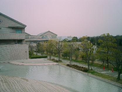 d0007913_19345581.jpg