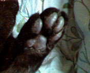 c0056014_1373563.jpg