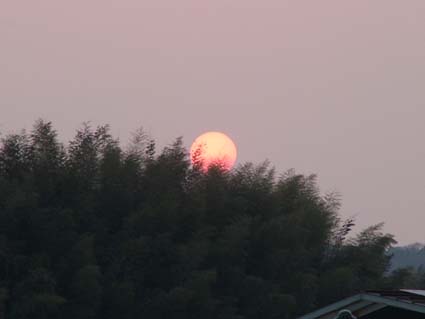 c0046026_0362542.jpg