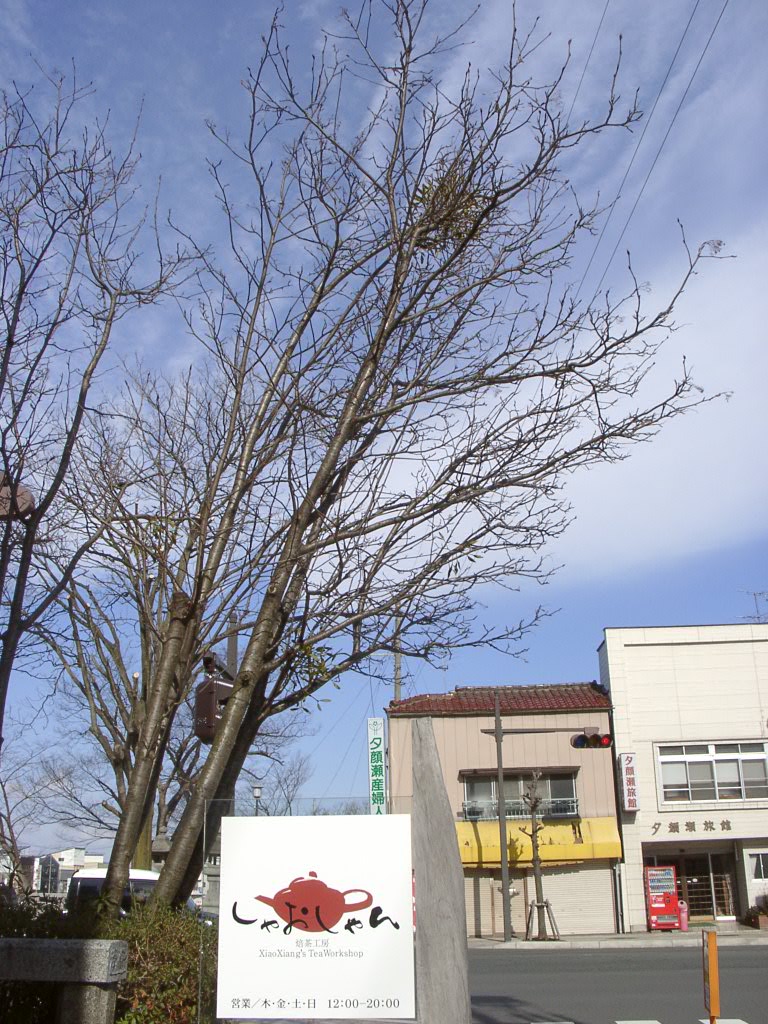 d0007735_2125811.jpg