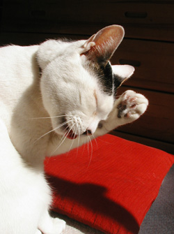 c0048042_128255.jpg