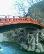 c0047449_19354435.jpg