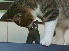 c0035001_224348.jpg