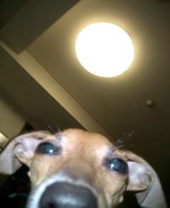 b0060803_7115630.jpg
