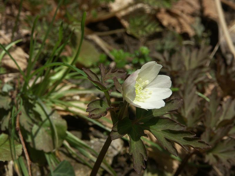 b0039226_075687.jpg
