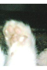 c0011446_14172498.jpg