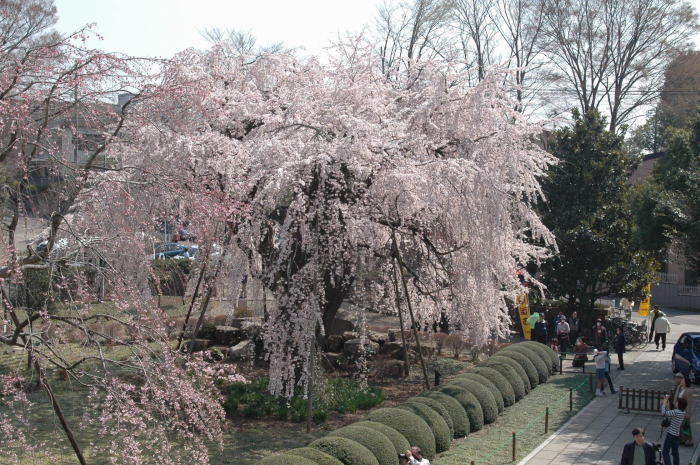 c0015546_14552750.jpg