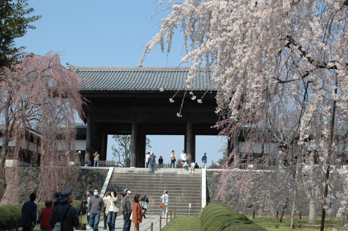 c0015546_1455681.jpg