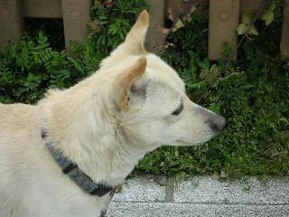 a0018200_1961616.jpg