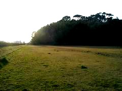 c0069514_17264190.jpg