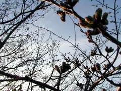 c0069514_1727365.jpg