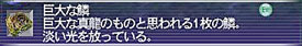 a0007523_9195770.jpg