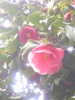 b0060450_22573684.jpg