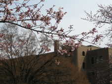 c0069552_1055644.jpg