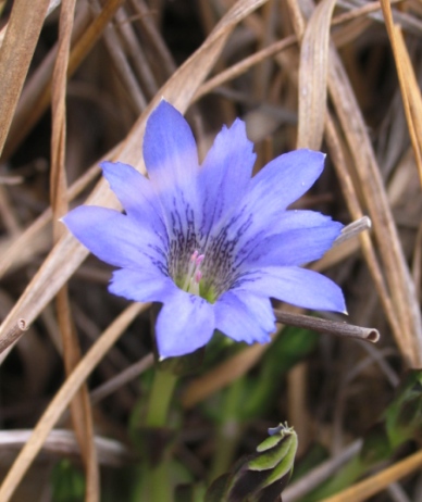 c0039974_11933.jpg