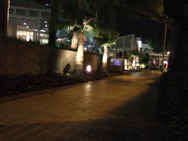 a0002177_2221529.jpg