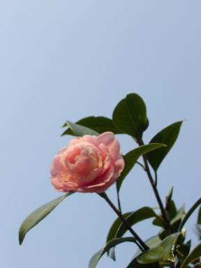 c0026178_22383843.jpg