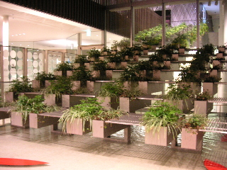 c0027181_19411499.jpg