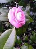 a0022584_23451010.jpg