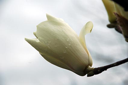 b0030290_14231550.jpg