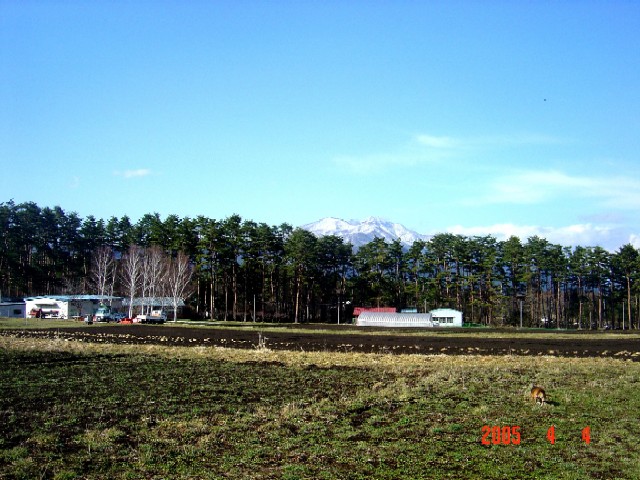 a0005691_16113019.jpg