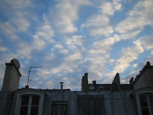 c0005899_1594239.jpg