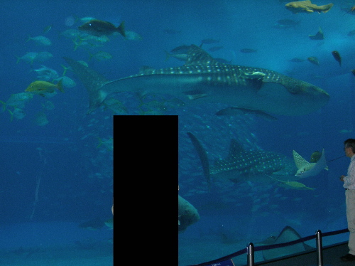 c0036203_1922465.jpg