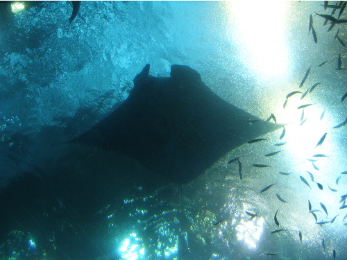 c0036203_19241086.jpg