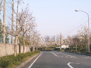 c0036203_193349.jpg