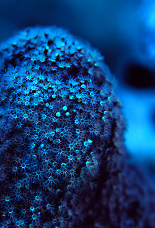 c0064907_16125121.jpg