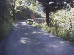 d0017712_035532.jpg
