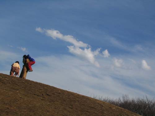 c0060115_99217.jpg