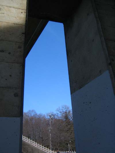 c0060115_993138.jpg