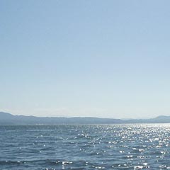 c0036617_1822590.jpg