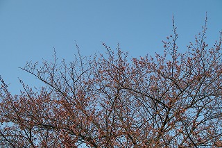 a0034419_12344720.jpg