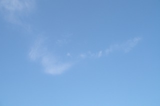 a0034419_12345340.jpg