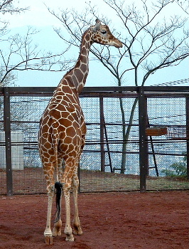 b0015260_14551219.jpg