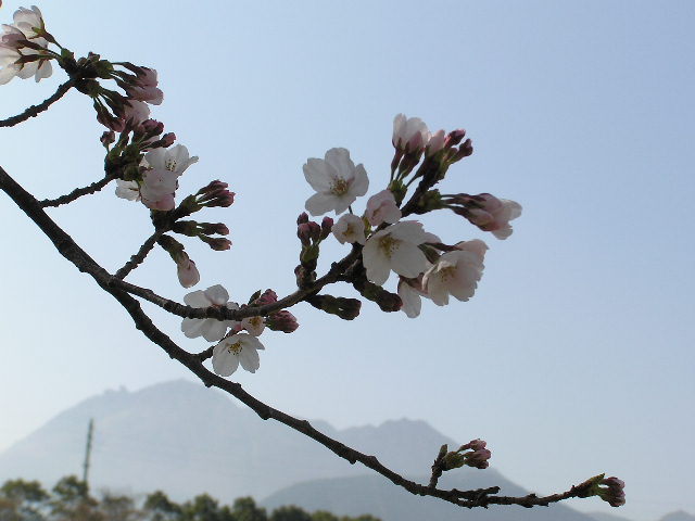 c0042869_2232342.jpg