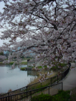 b0038008_7383386.jpg