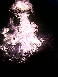 b0060945_5203848.jpg
