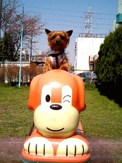 c0033145_2039169.gif