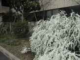 d0016947_170731.jpg