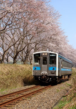d0013363_115384.jpg