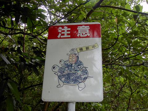 c0026178_21141476.jpg