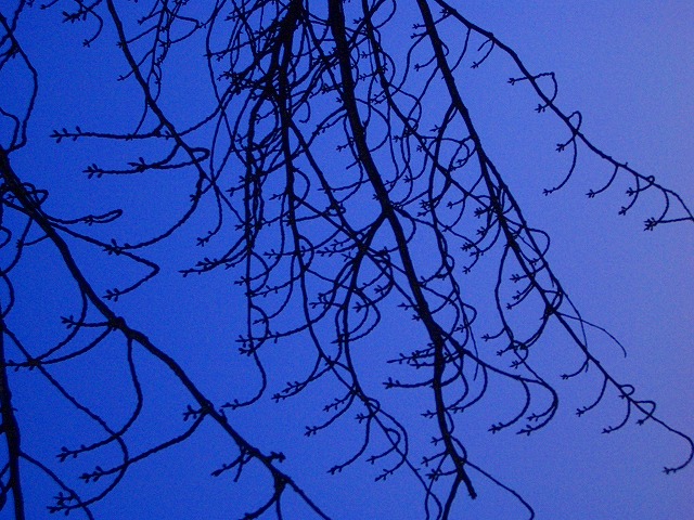 b0010882_22531577.jpg