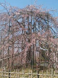 c0053795_14333592.jpg