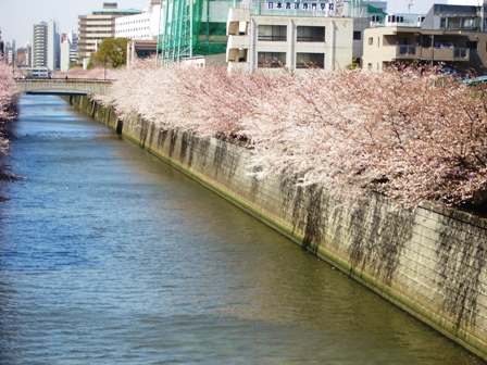 d0001509_19551341.jpg