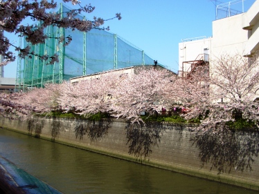d0001509_1955388.jpg