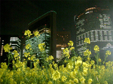a0036412_23533575.jpg