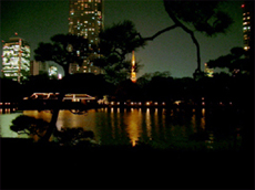 a0036412_23535435.jpg